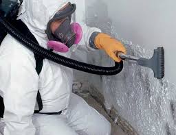 Best Industrial Mold Remediation  in Stafford Courthouse, VA